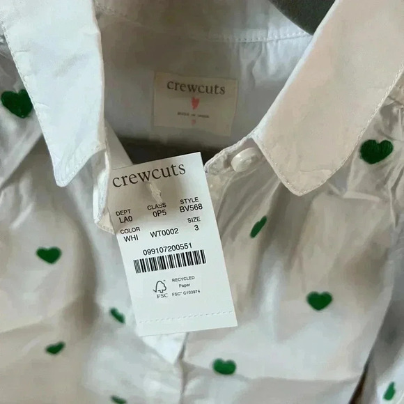 NWT • JCREW crewcuts girls heart embroidered button up 3T - Picture 3 of 5
